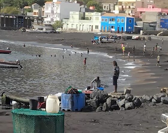 tratamento pescado